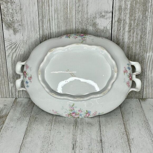 Antique Schönwald R.S.A.G. Bavaria Porcelain Covered Serving Dish, Platter, & Gr - Picture 5 of 14
